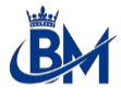 Blue Mark Consulting logo